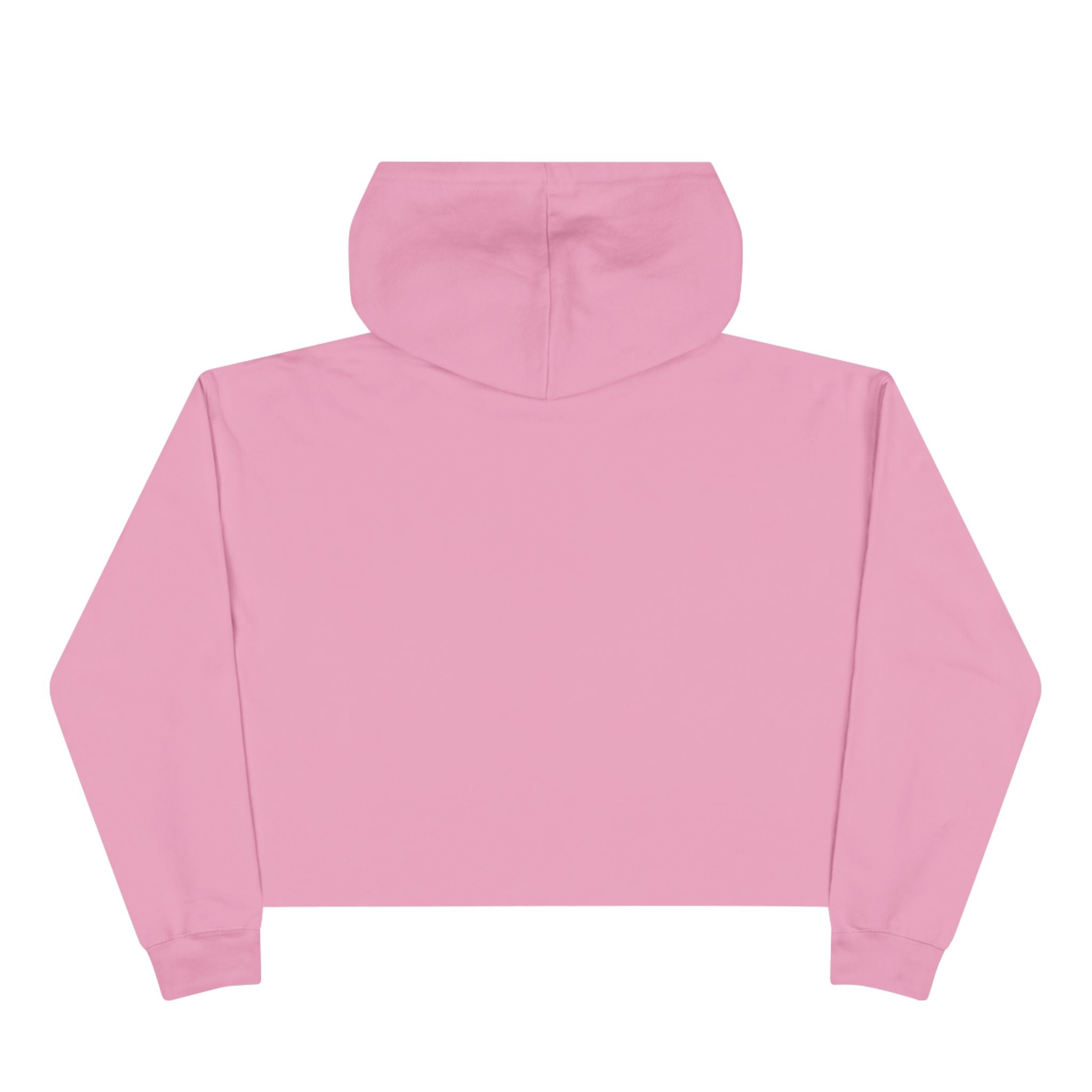 Too Tired to Live, Too Broke to Die Crop Hoodie